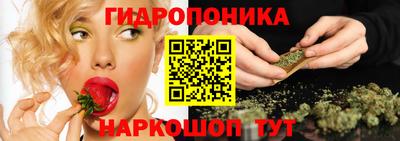 PSILOCYBIN Канаш