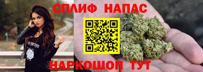 стаф Кандалакша