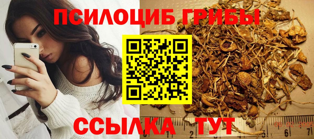 Галлюциногенные грибы ЛСД Волгоград